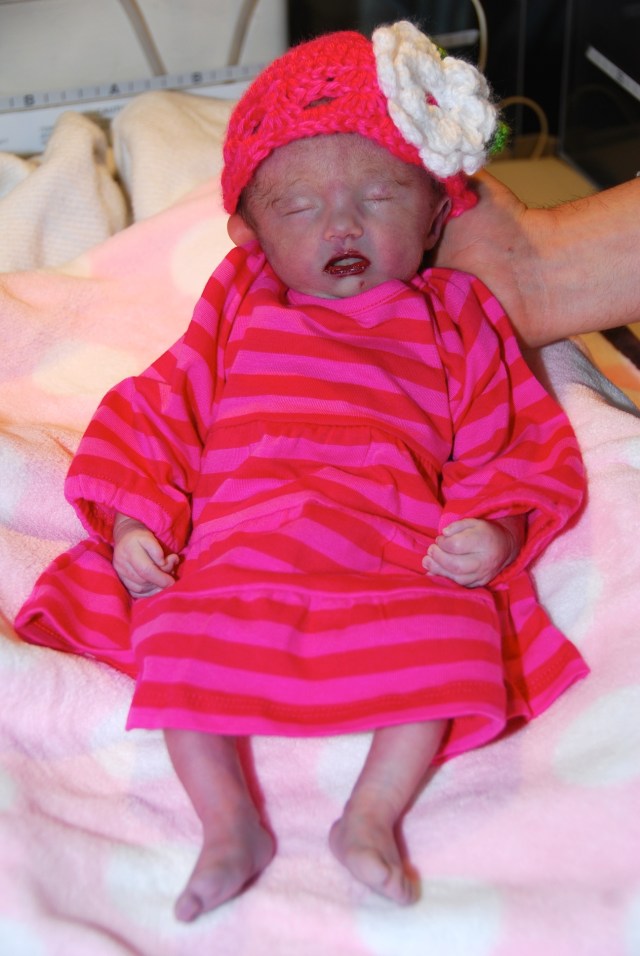 Johanna Raye Carswell